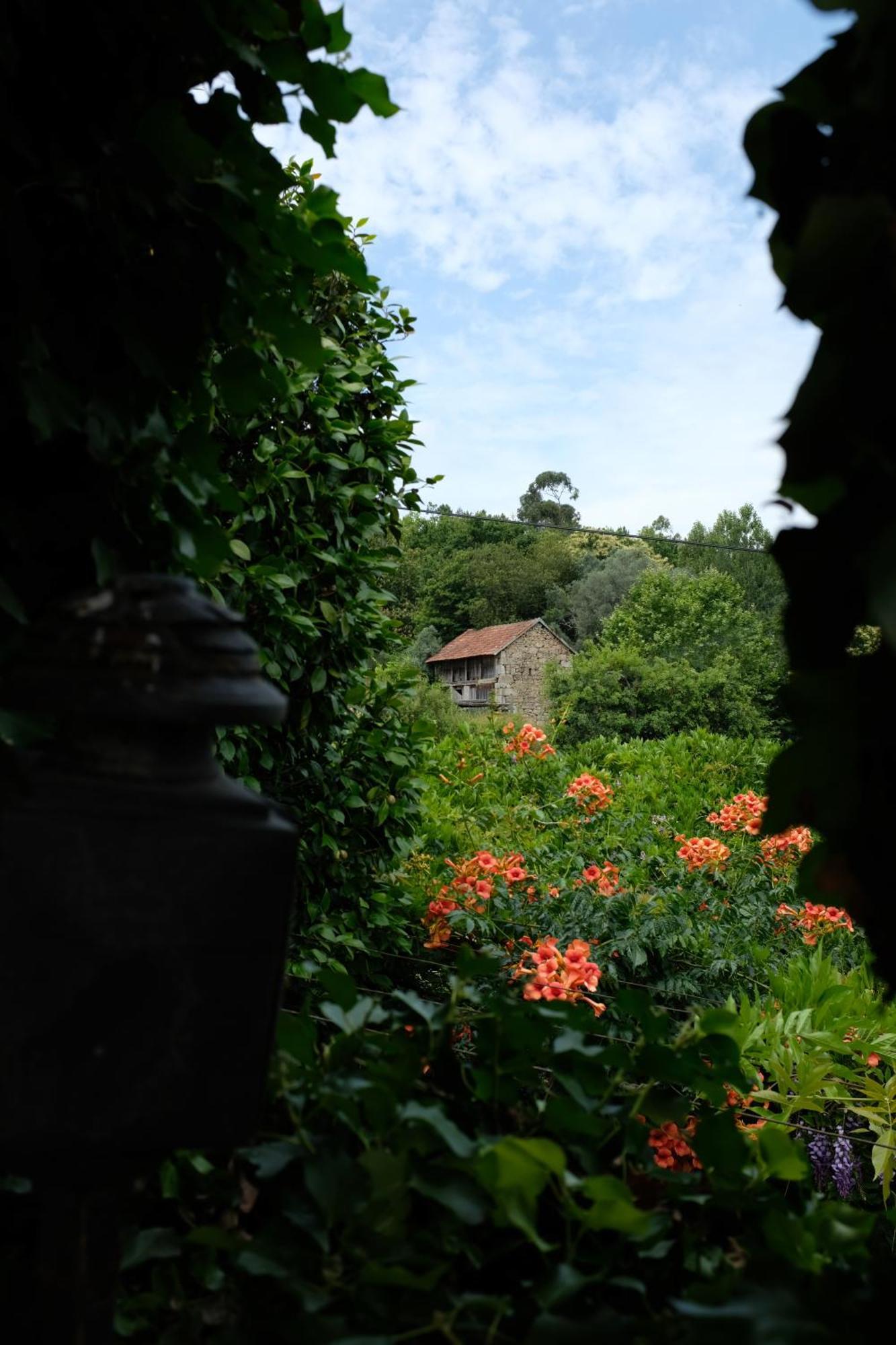 Casa De Cerqueda Leilighet Celorico De Basto Eksteriør bilde