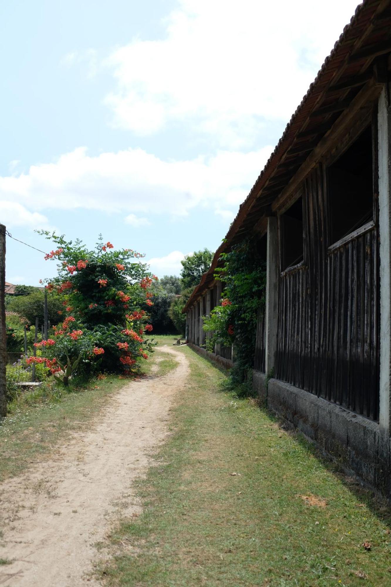 Casa De Cerqueda Leilighet Celorico De Basto Eksteriør bilde