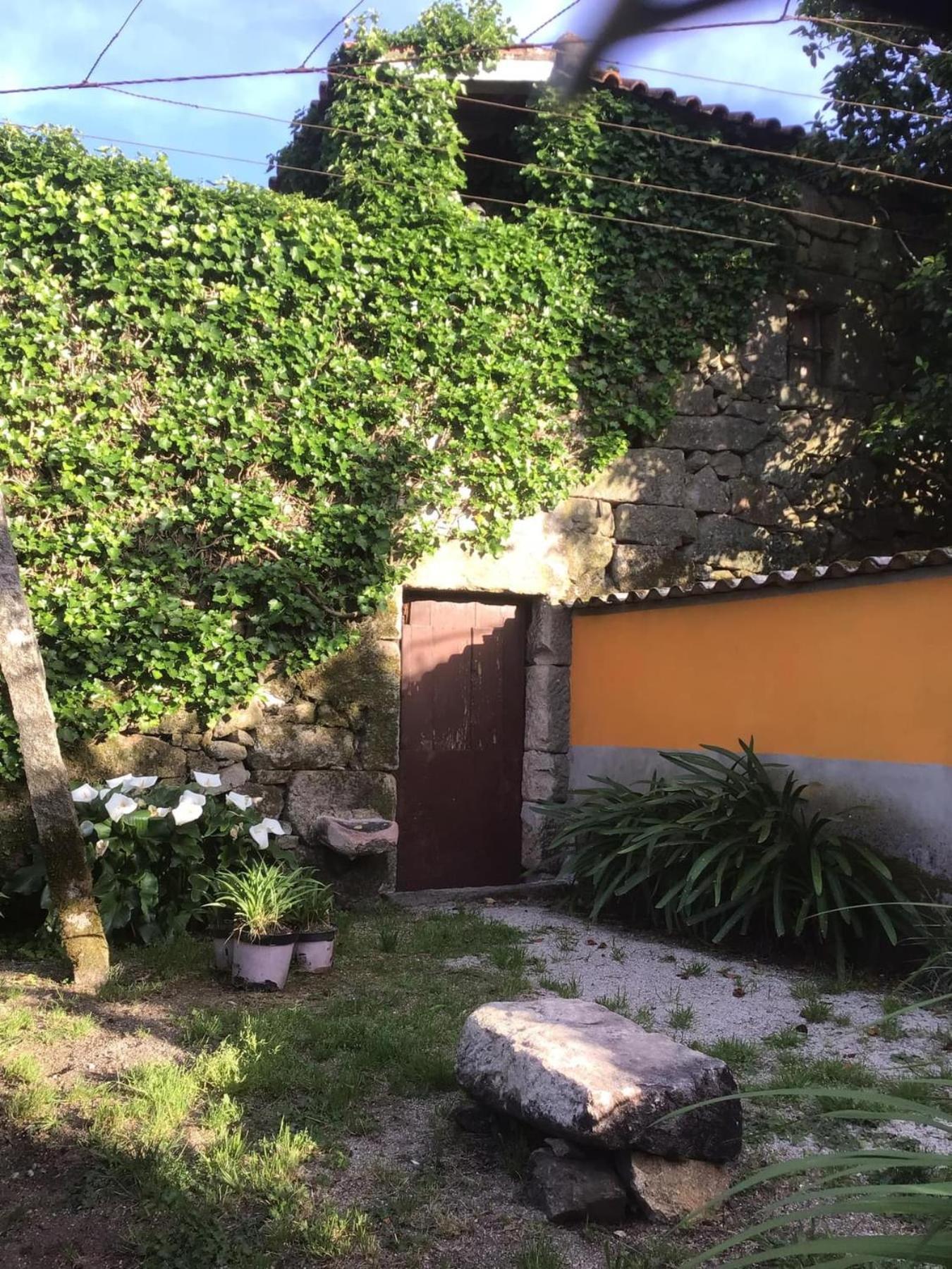 Casa De Cerqueda Leilighet Celorico De Basto Eksteriør bilde