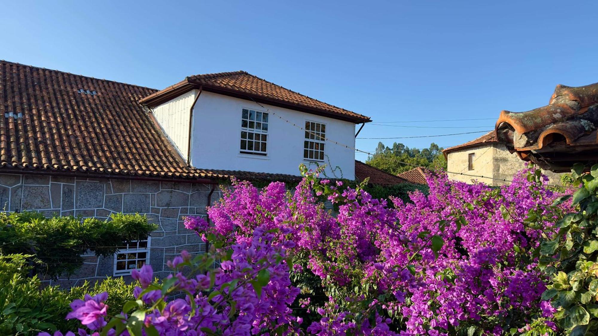 Casa De Cerqueda Leilighet Celorico De Basto Eksteriør bilde