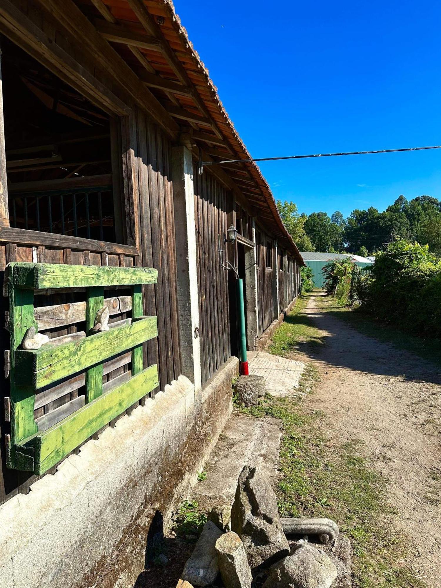 Casa De Cerqueda Leilighet Celorico De Basto Eksteriør bilde
