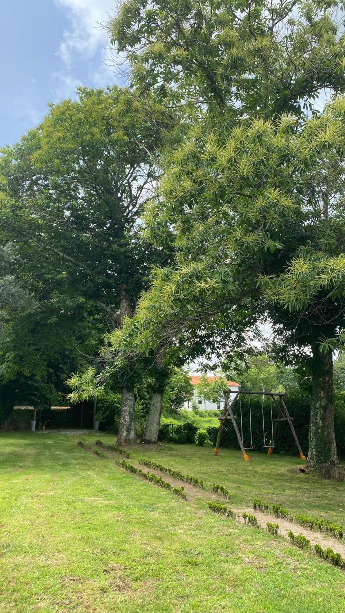 Casa De Cerqueda Leilighet Celorico De Basto Eksteriør bilde