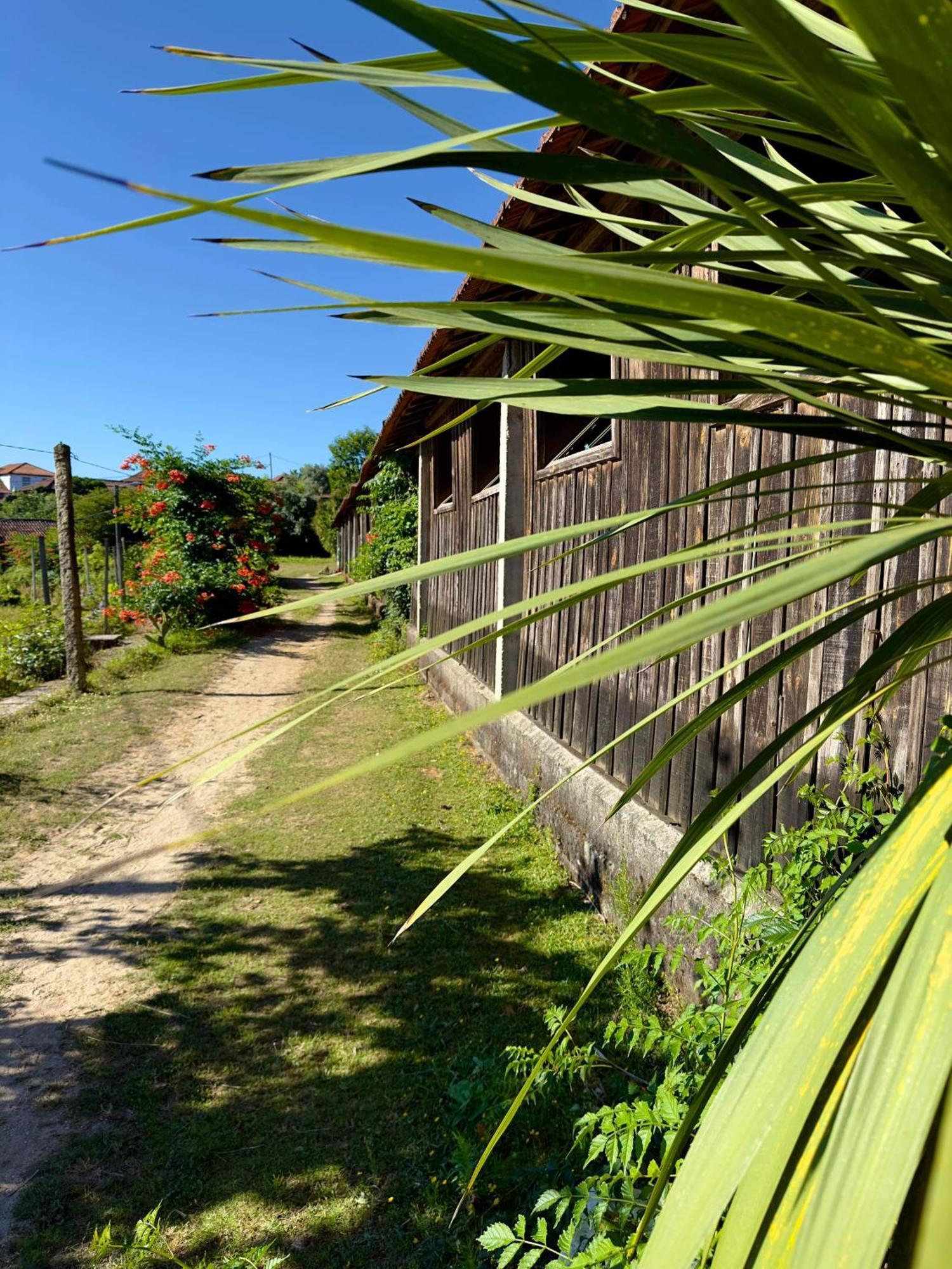 Casa De Cerqueda Leilighet Celorico De Basto Eksteriør bilde